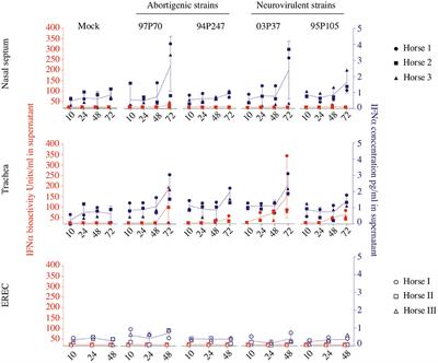 Abortigenic but Not Neurotropic Equine Herpes Virus 1 Modulates the Interferon Antiviral Defense